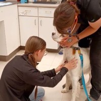 Ability First Employee Codie Broyles's profile photo