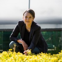 British Beauty Council Employee Jayn Sterland's profile photo