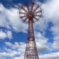 Acorn Village (Charity for Adults with Learning Disabilities) Employee Alice Stutter's profile photo