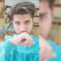 Maruf Shaikh Email