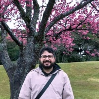 Flávio Marinho Email