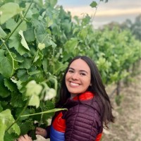 LangeTwins Family Winery and Vineyards Employee Maria Zumkeller's profile photo