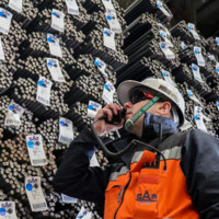 SCM Consultants Employee Alvaro Nieny's profile photo