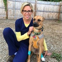 VCA Northboro Animal Hospital Employee Amy Dobecki's profile photo