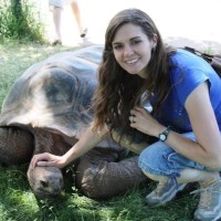 Denver Academy Employee Jolene Gutierrez's profile photo