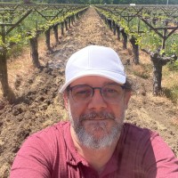 Marcus Monteiro Email & Phone Number