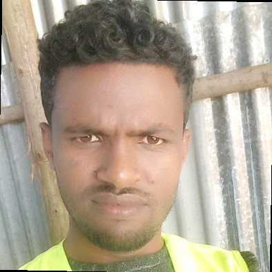 BEAEKA General Business PLC Employee Eyuel Melaku's profile photo