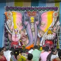 Shailendra Pathak Email & Phone Number