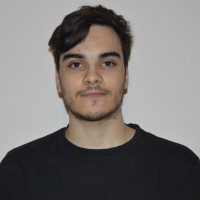 Flavio Ceccarelli Email