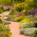 Denver Botanic Gardens Employee Brian Vogt's profile photo