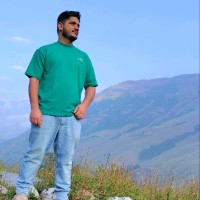 Folio3 Software Employee Muhammad Muzamil's profile photo