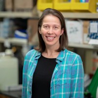 Cincinnati State Technical and Community College Employee Beth Coffey's profile photo