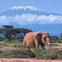 Kilimanday Tours Email & Phone Number