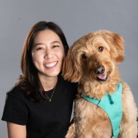 CHESAPEAKE VETERINARY SURGICAL SPECIALISTS LLC Employee Paydor Liu's profile photo