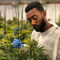 Curaleaf Employee Ryan Branch's profile photo