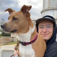 Nicholas Valvur Email
