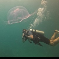 Wincanton Employee Gareth Wigley's profile photo