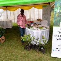 Narō Employee Mwesigwa Dan's profile photo