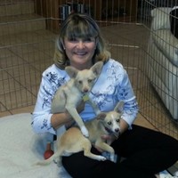 Denise Leichter Email & Phone Number