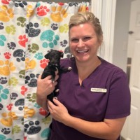 Email e telefono di Brooke Knowlton