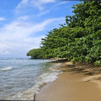 Northrop Grumman Employee Devin Fox's profile photo