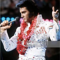 Bernadette Judkins Email & Phone Number