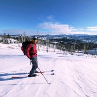 Micron Technology Employee Tejas Shetty's profile photo