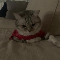 Hakan Kuzudisli's profile photo