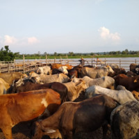 Rubem Carvalho's profile photo
