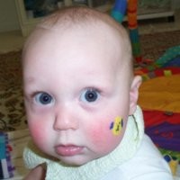 James Dvorak Email & Phone Number