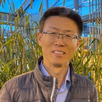 University of California, Davis Employee Xiaofei Zhang's profile photo