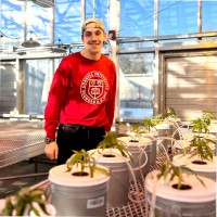 Maryland Cannabis Administration Employee Graham Antoszewski's profile photo