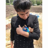 AgilGob Employee Moises Astudillo's profile photo