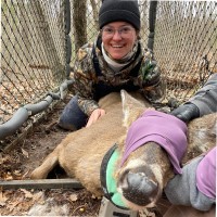 Wisconsin Veterinary Diagnostic Laboratory Employee Sarah Meisner's profile photo