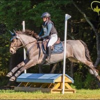 Sally Johnson Email & Phone Number