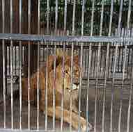 Global Medical Solutions Employee Bassem Mounir's profile photo