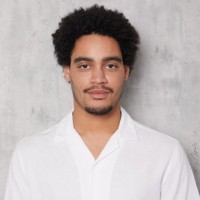 Lionel Perinchief Email