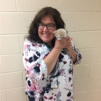 Maryellen Howell Email & Phone Number