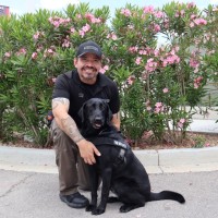 Damien Wolf Email & Phone Number