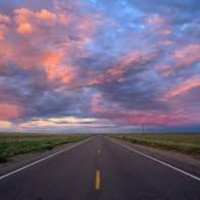 Total Pest Control (UK) Ltd Employee Martin M's profile photo