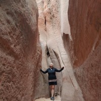 IPTW Employee Pattie Schryer's profile photo