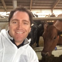 Gavin Strang Email & Phone Number
