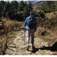 全芯智造技术有限公司 Employee Yifei Zhou's profile photo