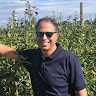 The Olnick Organization Employee Philip Cohen's profile photo