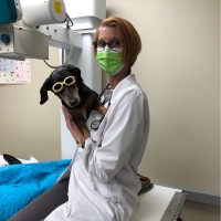 East Greenbush Animal Hospital Employee Debra Chew's profile photo