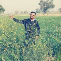 Manoj Parashar Email