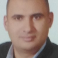 Expert Engineers Employee Mohammed Awady's profile photo