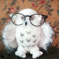 Autism Spectrum Mandate Services Employee Carrie Hentz's profile photo