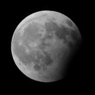 Make Employee Pierre Lombard's profile photo