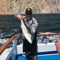 Vista Paint Corporation Employee Lance Brown's profile photo